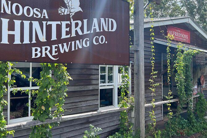 Noosa Hinterland Drinks Private Tour with Gin, Beer, Mead & Wine Tastings - A Closer Look at the Itinerary and Experience