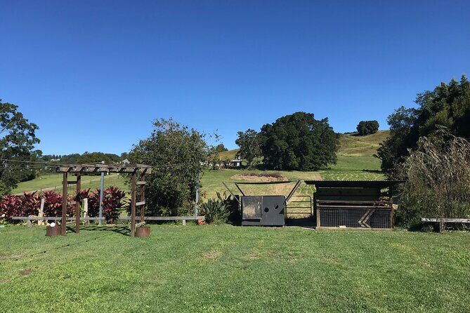 Noosa Hinterland Tour with Lunch, Wine & Cheese Tasting & more - Authentic Experiences & Traveler Feedback