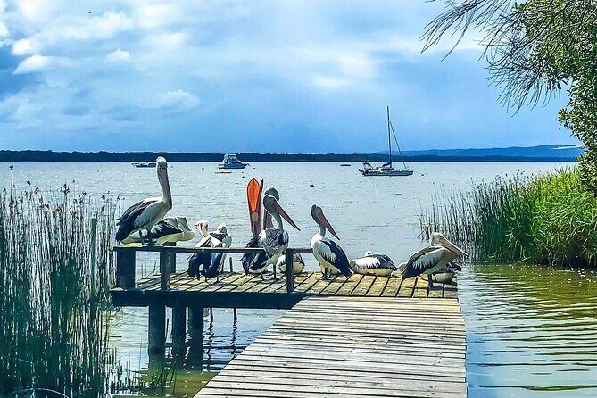 Noosa Hinterland Tour with Lunch, Wine & Cheese Tasting & more - The Sum Up
