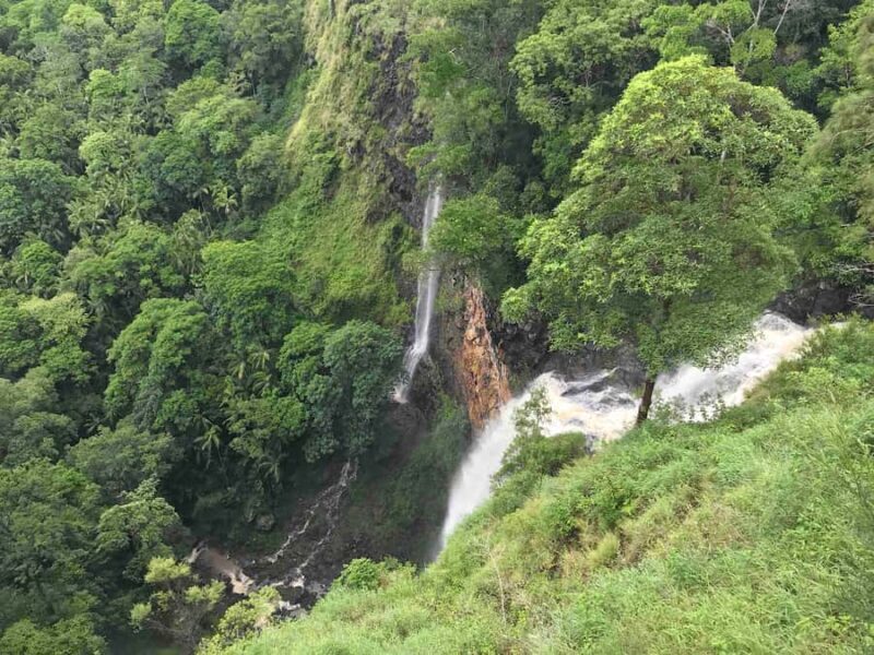 Noosa: Maleny & Montville Tour with Lunch & Wine Tasting - Exploring the Sunshine Coast Hinterland