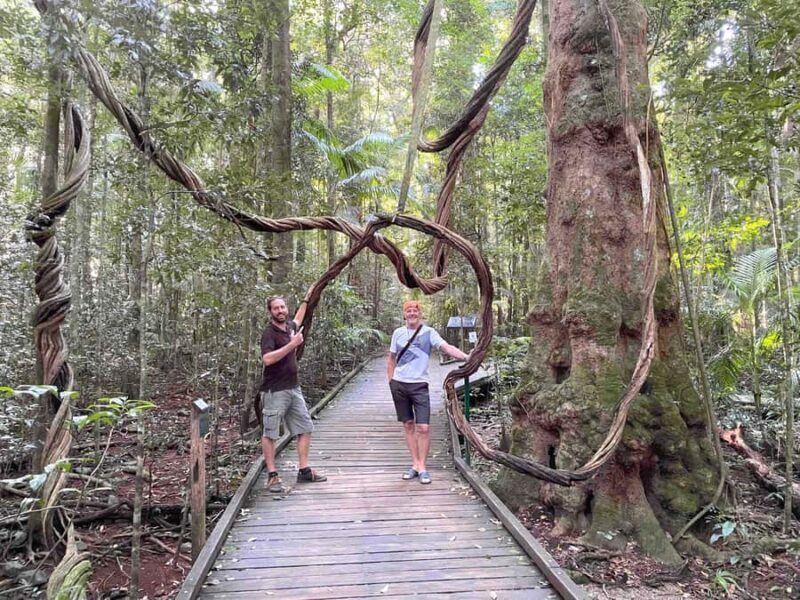 Noosa: Maleny & Montville Tour with Lunch & Wine Tasting - The Sum Up