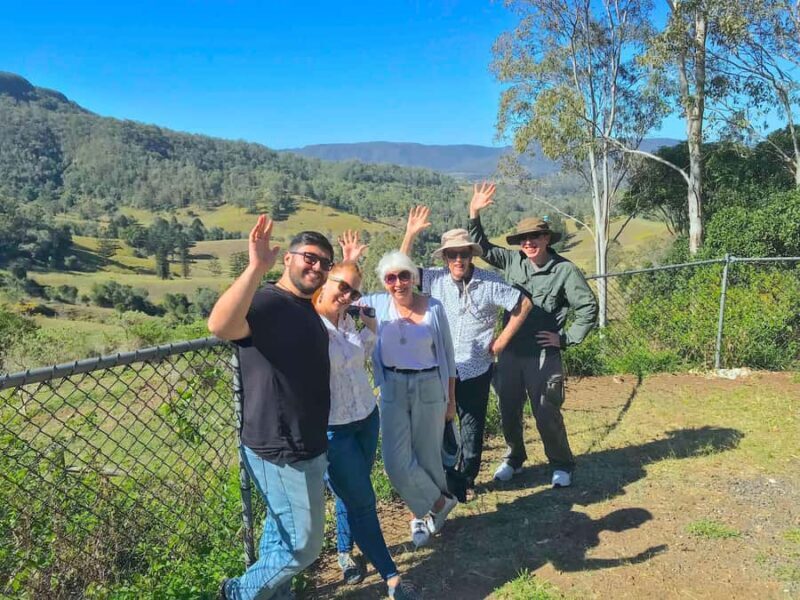 Noosa: Mary Valley Tour with Mary Valley Rattler and Lunch - An In-Depth Look at the Tour Experience