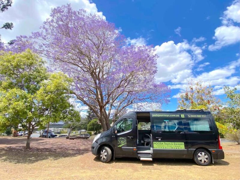Noosa: Mary Valley Tour with Mary Valley Rattler and Lunch - Who Will Love This Tour?