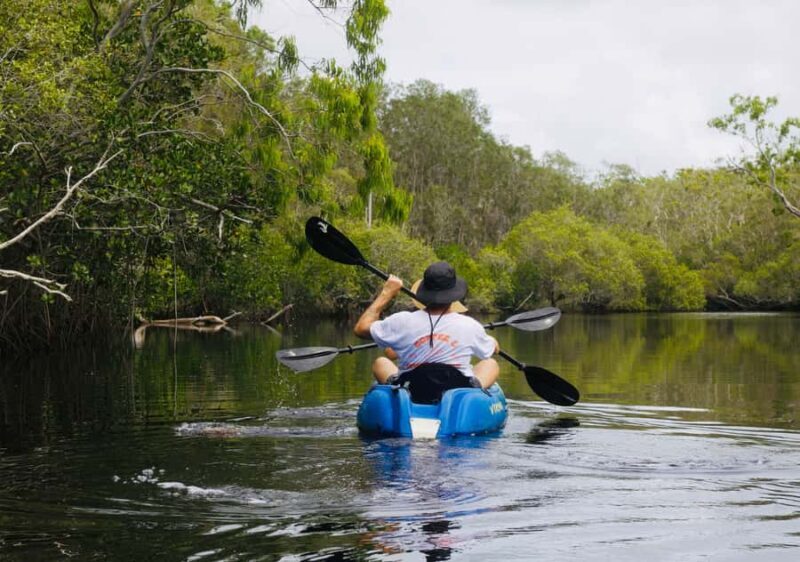 Noosa: Noosa Everglades and Stingray Sanctuary Kayak Tour - Exploring the Noosa Kayak Adventure in Detail