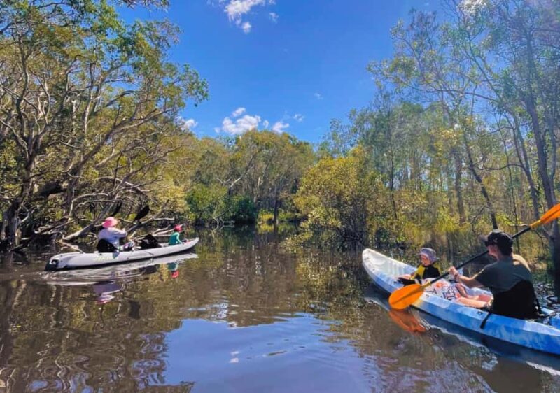 Noosa: Noosa Everglades and Stingray Sanctuary Kayak Tour - FAQ