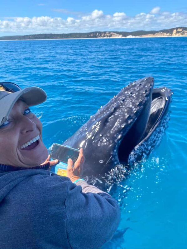 Noosa; Noosa Ocean Adventures - Whale Watching - The Experience in Detail: What Youll Actually See and Feel