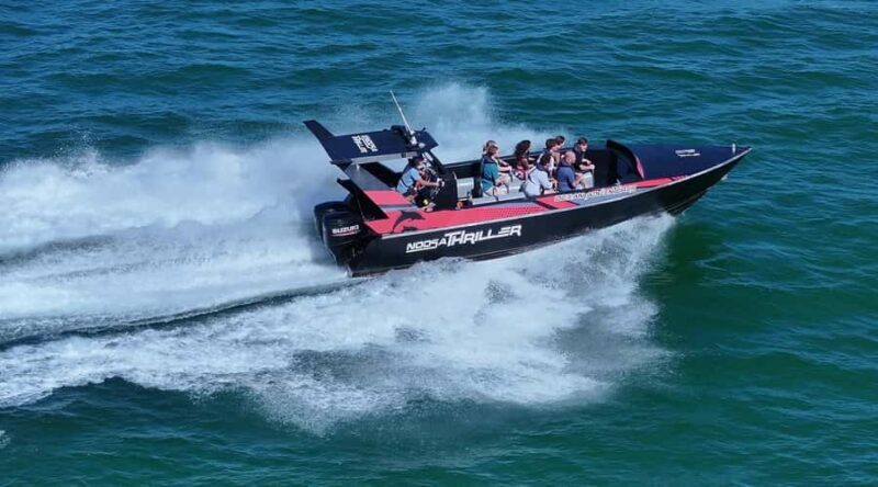 Noosa; Noosa Ocean Adventures - Whale Watching - Critical Considerations for Travelers