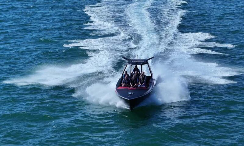 Noosa; Noosa Ocean Adventures - Whale Watching - FAQ