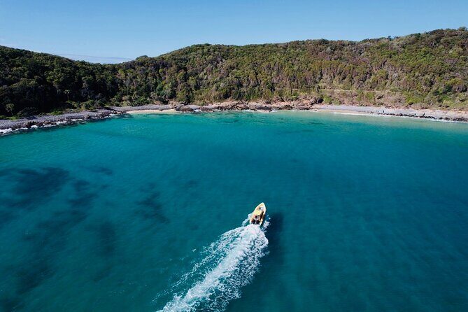 Noosa ocean adventure & Dolphin safari. - Final Thoughts