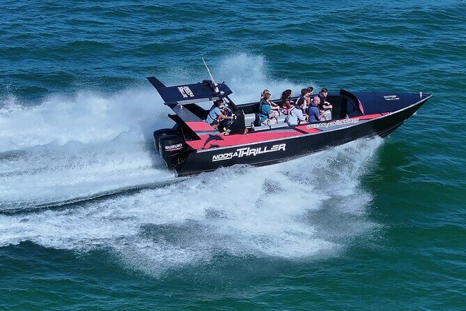 Noosa Ocean Adventures: Dolphins - An In-Depth Look at the Tour