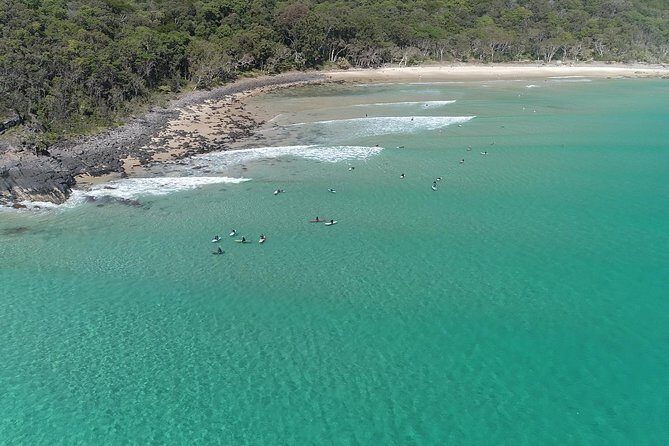 Noosa Ocean Adventures: Dolphins - Who Will Enjoy This Tour?