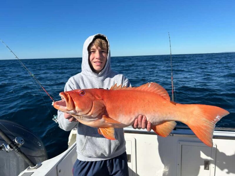 Noosa: Offshore Fishing Charter - Key Points
