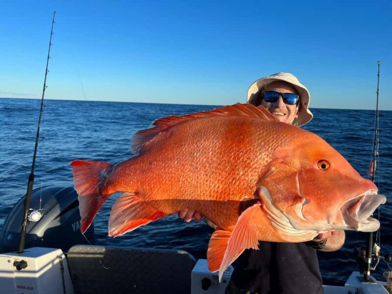 Noosa: Offshore Fishing Charter - Discovering the Off Shaw of Noosa: A Practical Overview