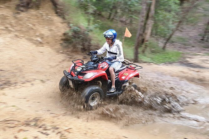 Noosa Quad Bike Tours - Who Should Consider This Tour?