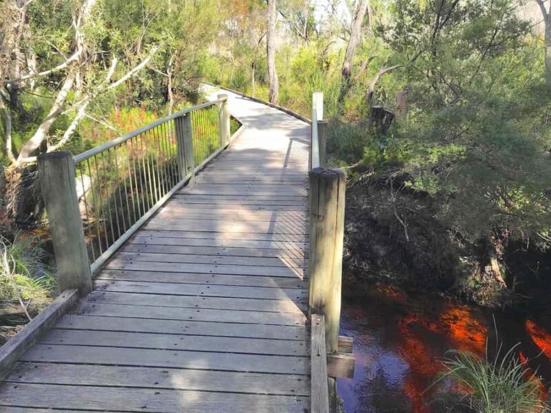 Noosa: Rainbow Beach Tour via Noosa Hinterland and Cooloola - Discovering Rainbow Beach: An Honest Breakdown
