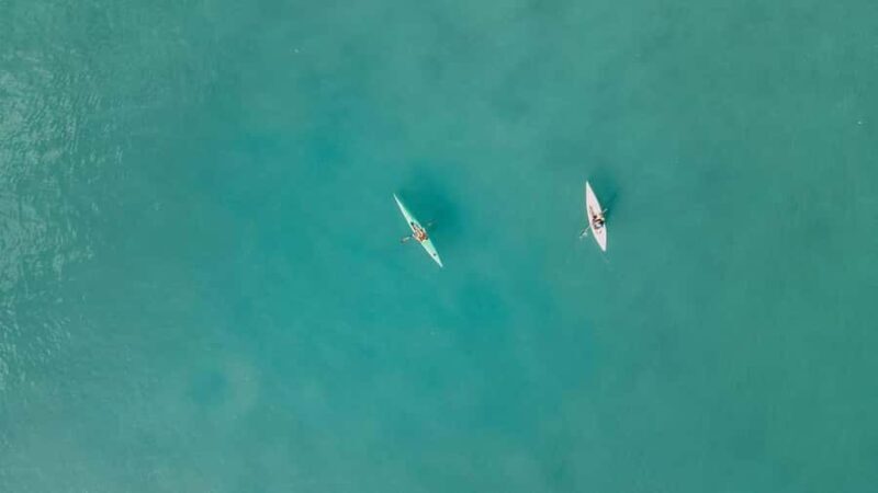 Noosa River: Mangroves and Mansions Guided Kayak Tour - Why You’ll Love the Noosa River: Mangroves and Mansions Guided Kayak Tour
