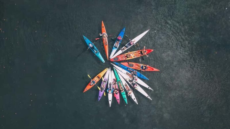 Noosa River: Mangroves and Mansions Guided Kayak Tour - The Itinerary: What to Expect on Your Kayaking Day