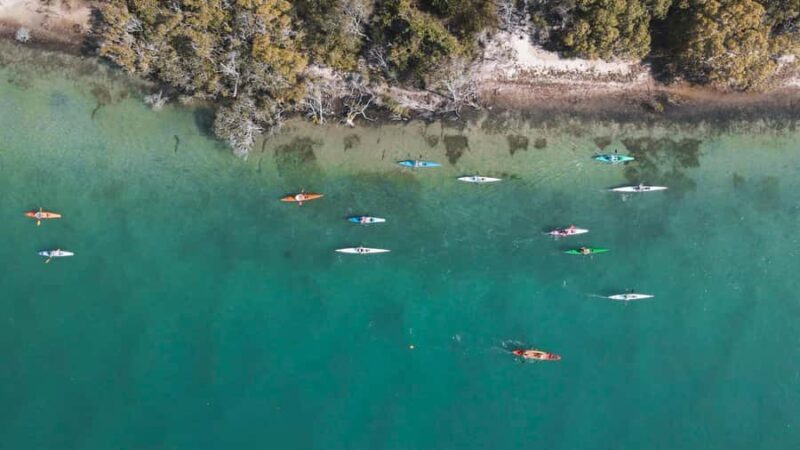 Noosa River: Mangroves and Mansions Guided Kayak Tour - Practical Details and Tips