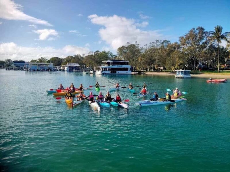 Noosa River: Mangroves and Mansions Guided Kayak Tour - Who Should Consider This Tour?
