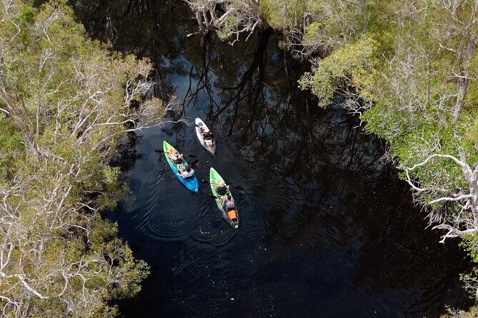 Noosa Sightseeing Adventure - Ferry Cruise, Ride and Kayak - Authentic Experiences and What You Can Expect