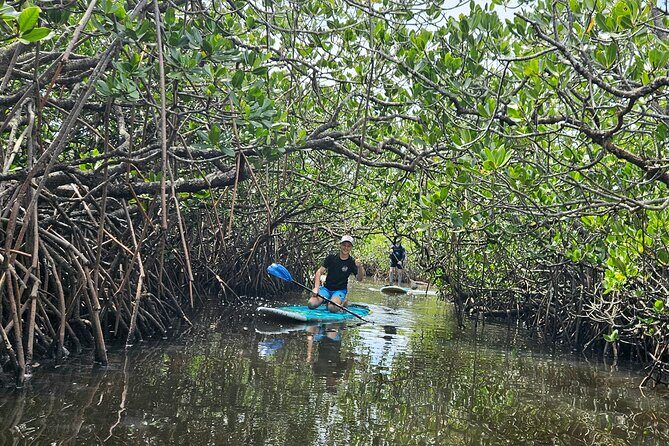 Noosa Stand Up Paddle Group Lesson - Who Will Love This Experience?