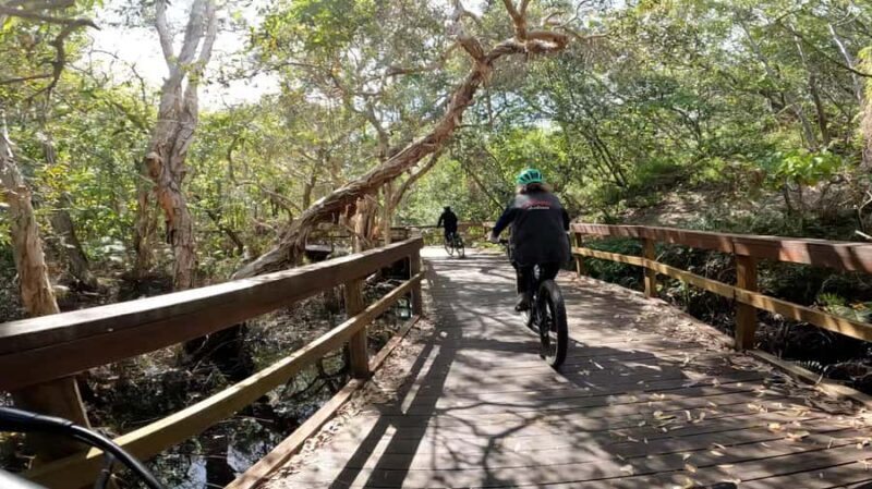 Noosa Surf Beach Trail e-Bike Tour: Ride the Coastal Breeze - Who Should Consider This Tour?