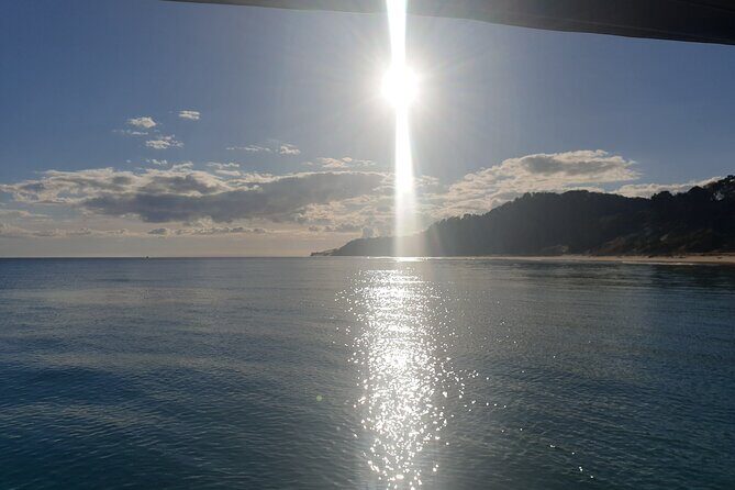 Noosa Surfing and Snorkel Boat Charters to Sunshine Coast in QLD - The Itinerary in Detail