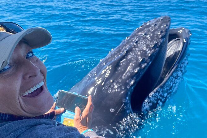 Noosa Whale Watching Cruise  Humpback Whale Adventure - Frequently Asked Questions