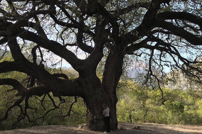 Noreste Explorer (El Potrero Chico and Boca de Potrerillos Archaeological Site) - Practical Tips for Travelers