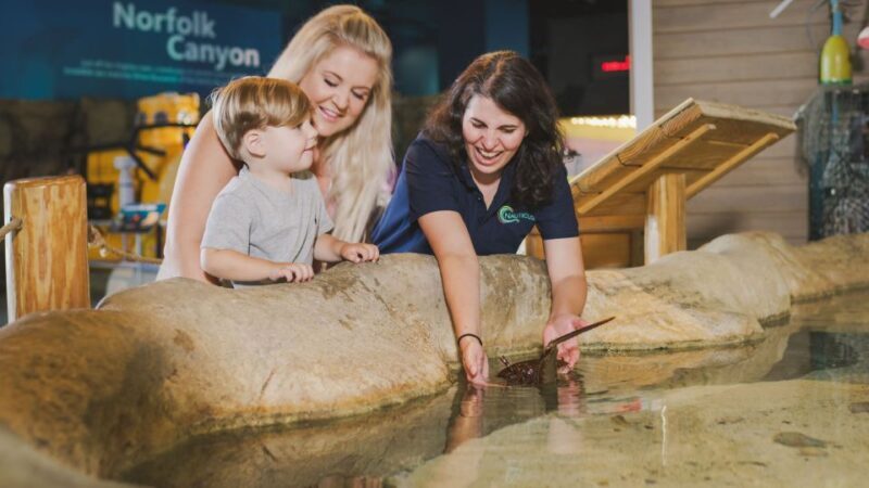 Norfolk: Virginia Zoo & Battleship Wisconsin Combo Ticket - A Detailed Look at Norfolk’s Top Attractions