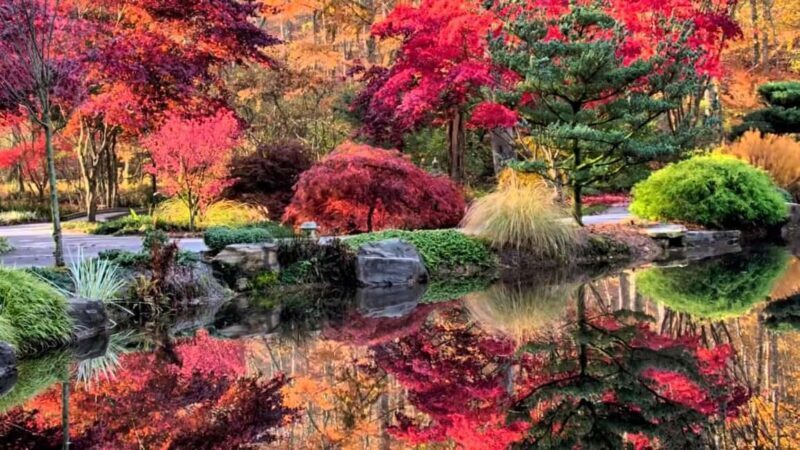 North Atlanta: Gibbs Gardens Self-Guided Slingshot Tour - Who Would Love This Tour?
