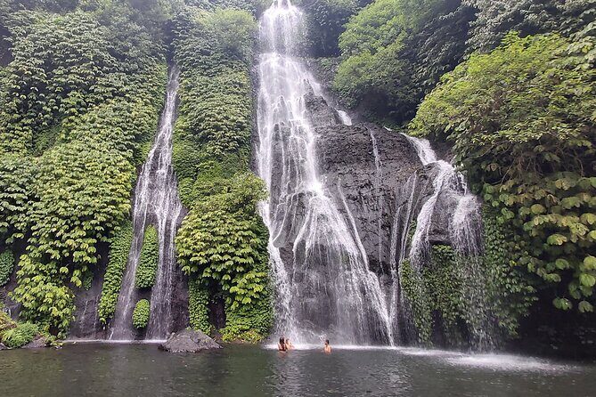 North Bali Private Tour - All Inclusive - What to Expect from the North Bali Private Tour