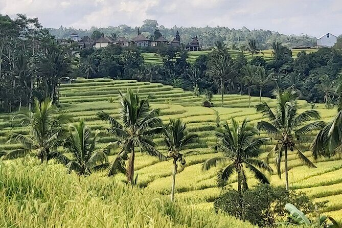 North Bali Private Tour - All Inclusive - Final Thoughts