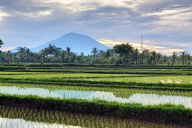 North Bali Private Tour - All Inclusive - FAQ