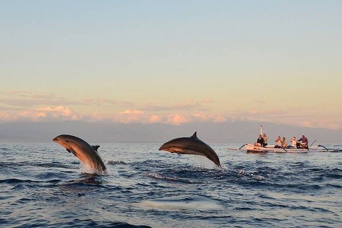 North Bali Sunrise Tour With Dolphins, Instagram Wanagiri & Waterfalls - Final Thoughts: Is This Tour Right for You?
