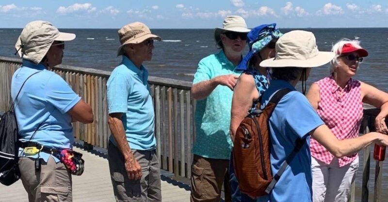 North Beach: North Beach Scenic Guided Walking Tour - Is This Tour Worth It?