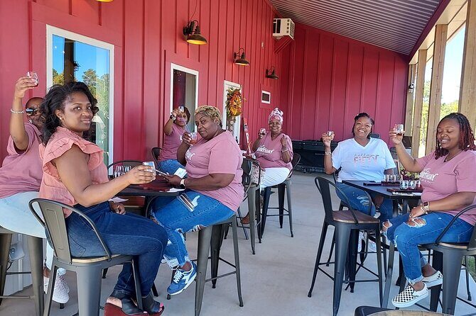 North Georgia Mountains Three Vineyard Wine Tasting Tour - Introduction