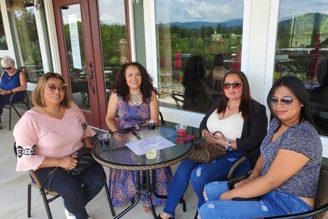 North Georgia Mountains TWO Vineyard Wine Tasting Tour - The Sum Up: Who Will Love This Tour?