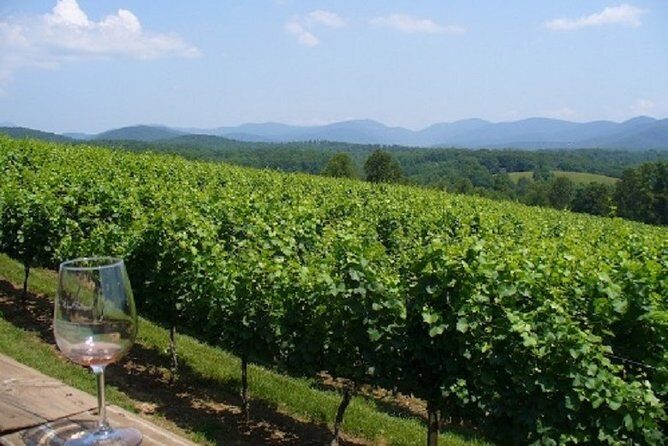 North Georgia Wine Country Tour from Atlanta - A Genuine Look at the North Georgia Wine Country Tour