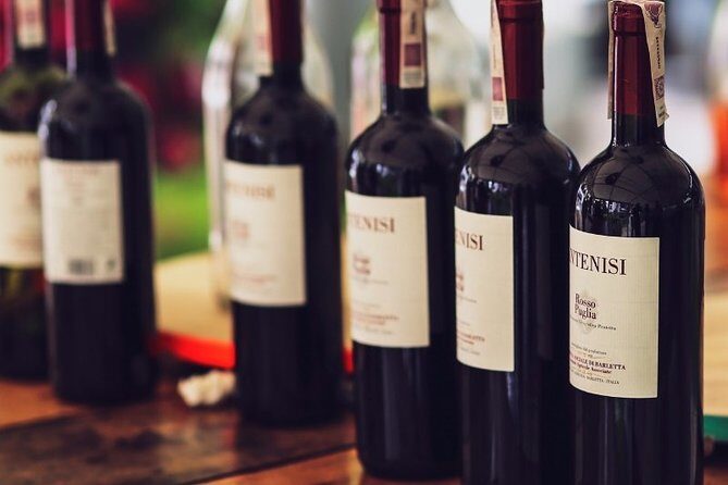 North Georgia Wine Country Tour from Atlanta - Final Thoughts