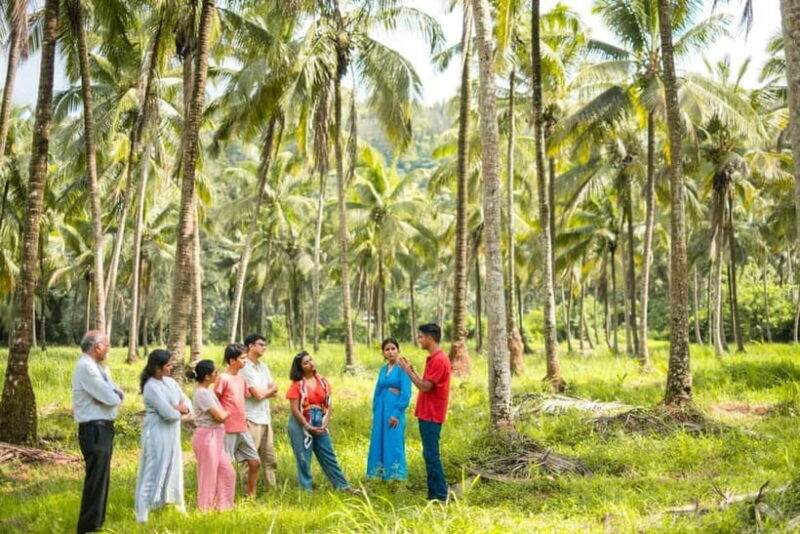 North Goa: Mulgao Village and Coconut Farming Experience - An Overview of the Experience