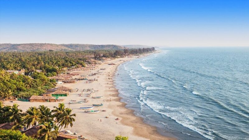 North Goa: Private Full-Day Tour with Pickup and Drop-Off - What This Tour Offers — A Detailed Breakdown