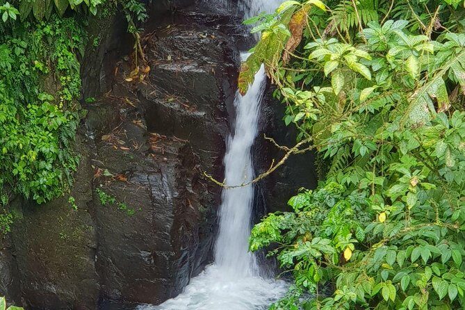 North Island Tour And Martinique Best Secret - Key Points