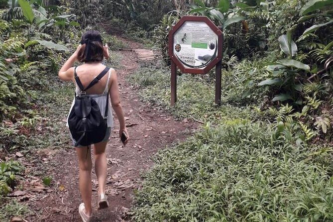 North Island Tour And Martinique Best Secret - Rum Tasting at Distillerie Depaz