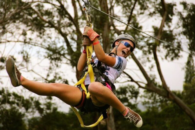 North Maui: 7 Line Zipline Adventure with Ocean Views - An In-Depth Look at the Experience
