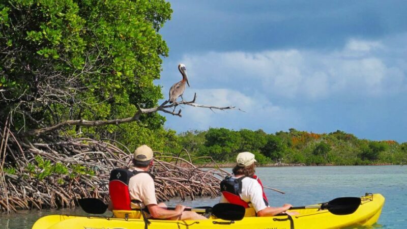 North Miami: Nature & Island Exploration on SUP/Kayak - Key Points