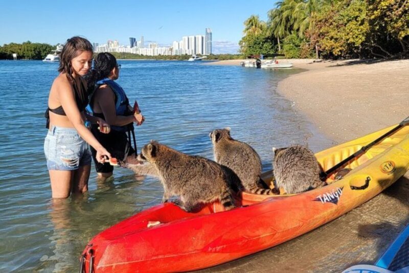 North Miami: Nature & Island Exploration on SUP/Kayak - Wildlife and Nature Notes