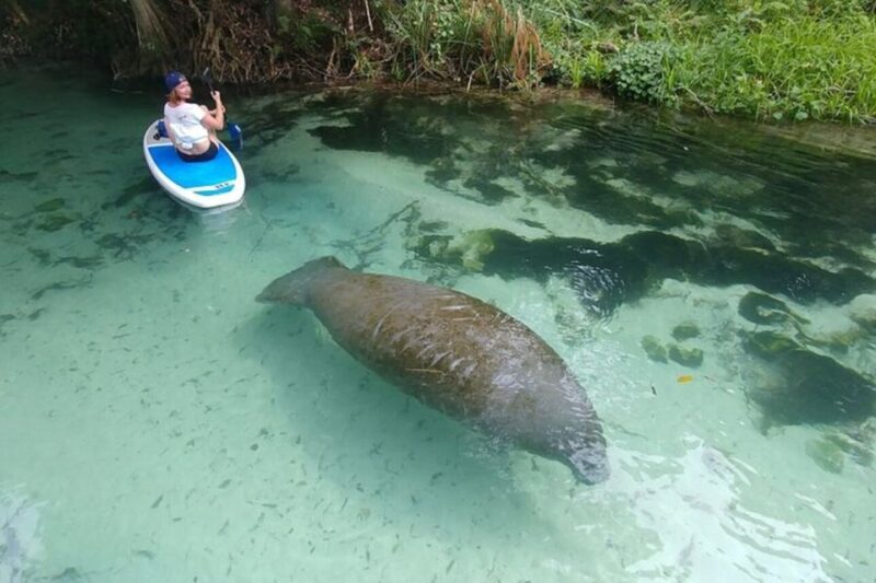North Miami: Nature & Island Exploration on SUP/Kayak - Suitability and Accessibility