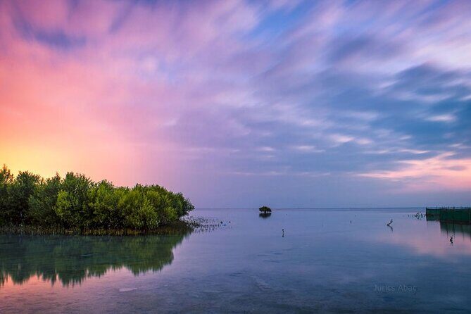 North of Qatar Tour, Zubara Fort, Mangroves, Jumail Village - The Sum Up