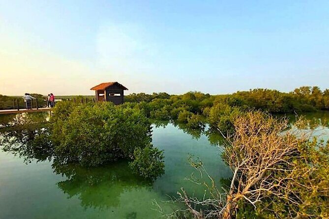 North of Qatar Tour|Zubara Fort, Purple Island & Mangroves Colony - Key Points